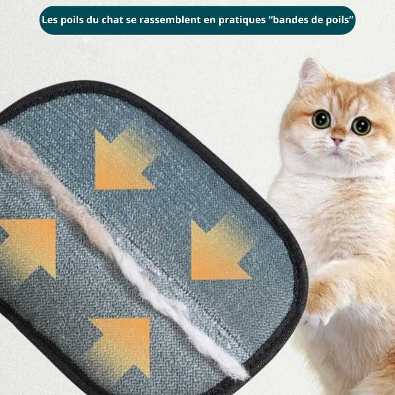 PetMagnet™ - Gants électrostatiques pour poils 🤩
